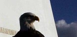 USS Arizona Memorial - Eagle